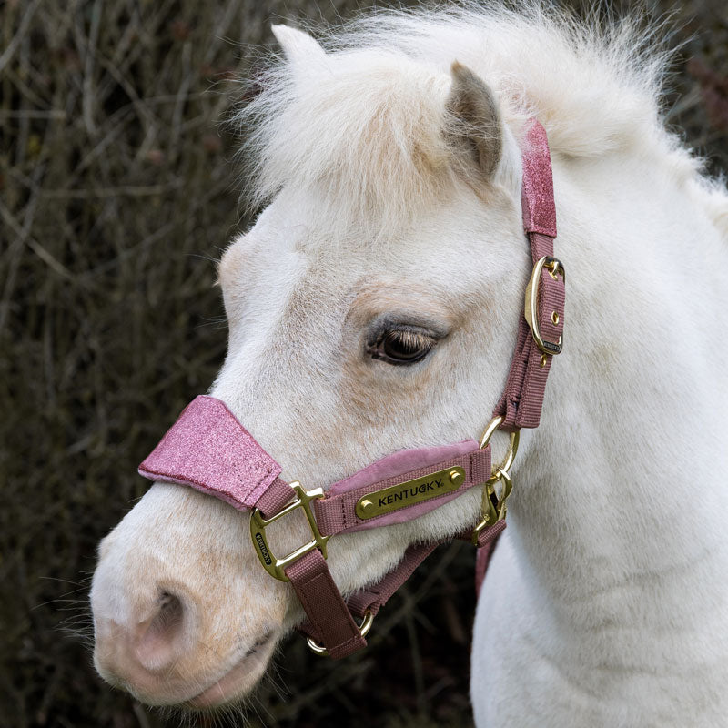 Kentucky Velvet Halter Unicorn Glitter