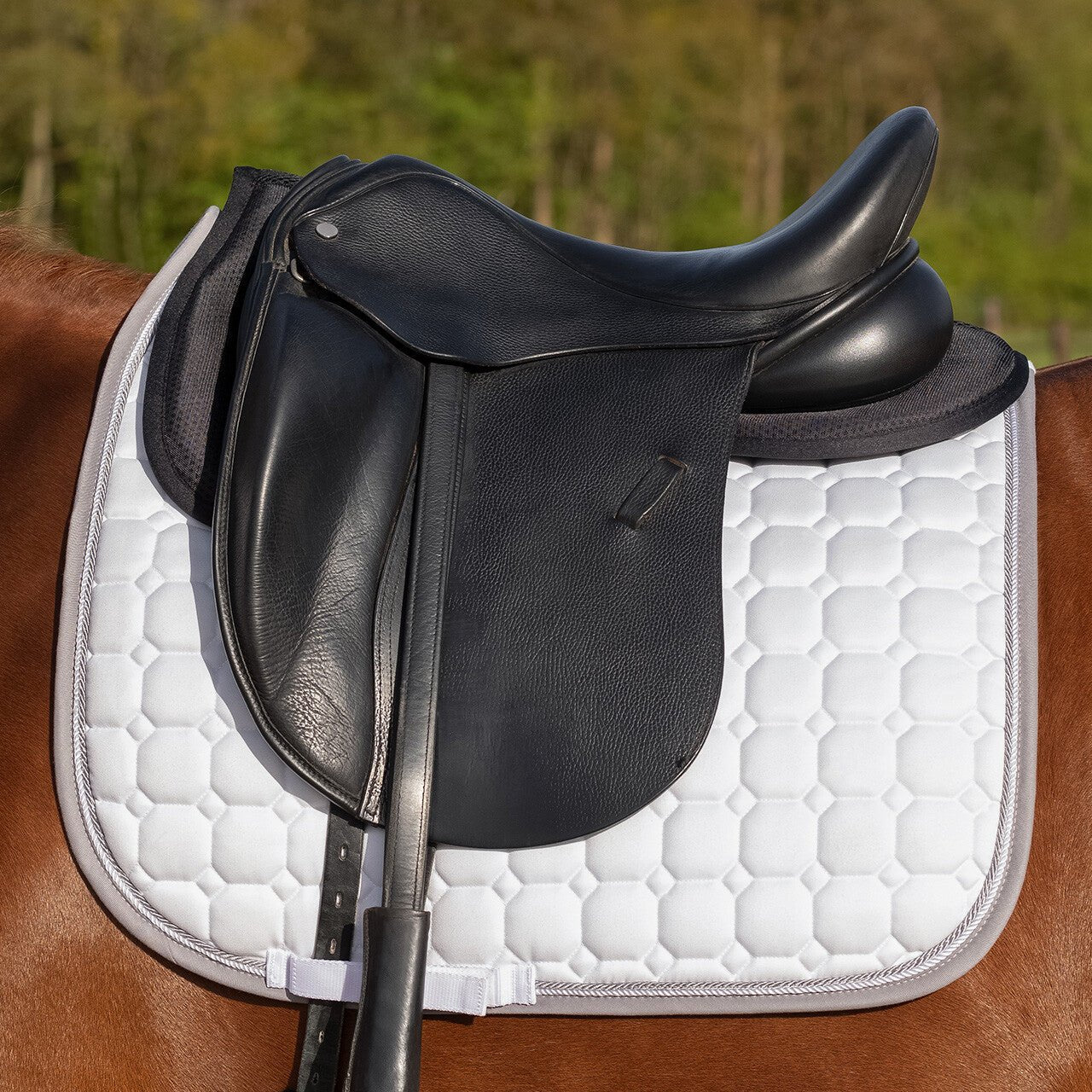 Airmesh Half Pad - Nags Essentials