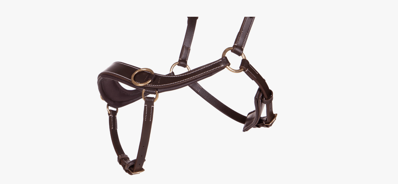 Anatomical Bitless Bridle - Nags Essentials