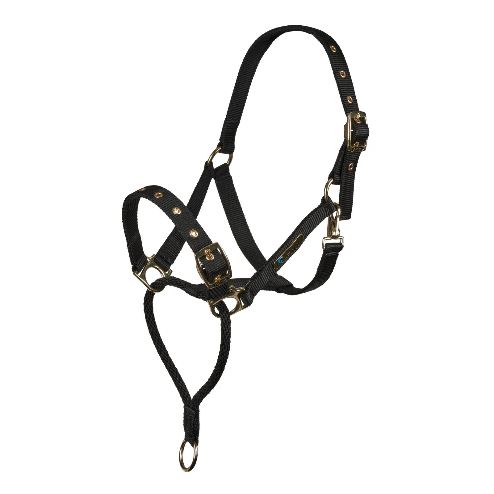 ARMA Control Headcollar - Nags Essentials