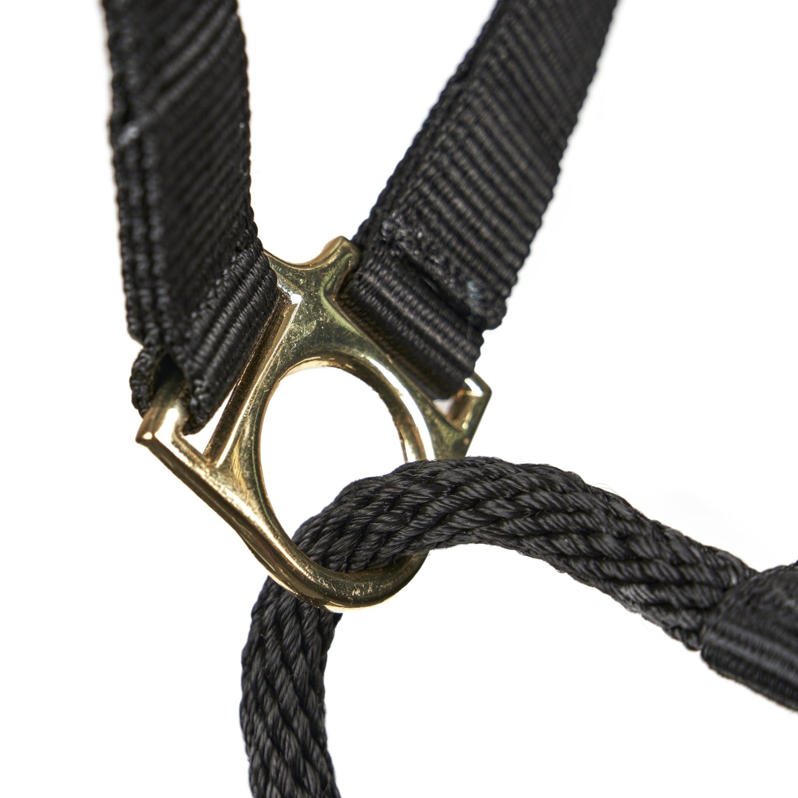 ARMA Control Headcollar - Nags Essentials