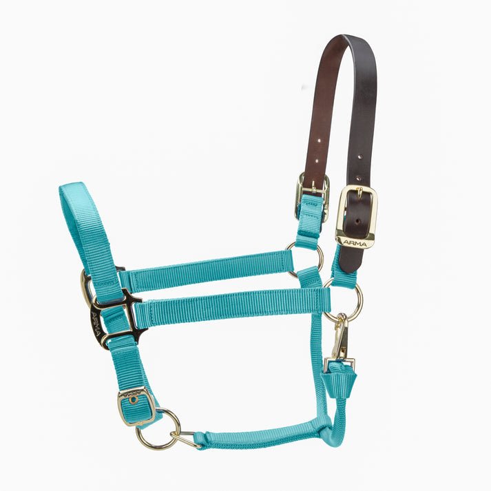 ARMA Premium Adjustable FieldSafe Headcollar - Nags Essentials