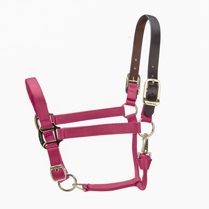 ARMA Premium Adjustable FieldSafe Headcollar - Nags Essentials
