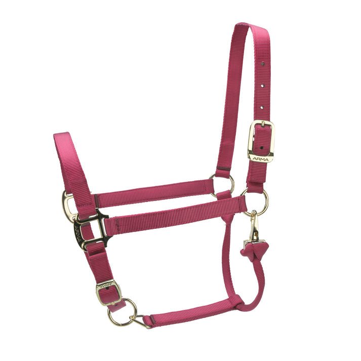ARMA Premium Adjustable Headcollar - Nags Essentials