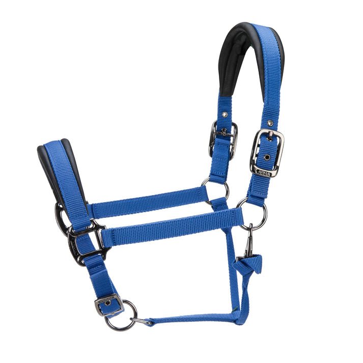 ARMA Pro Padded Headcollar - Nags Essentials