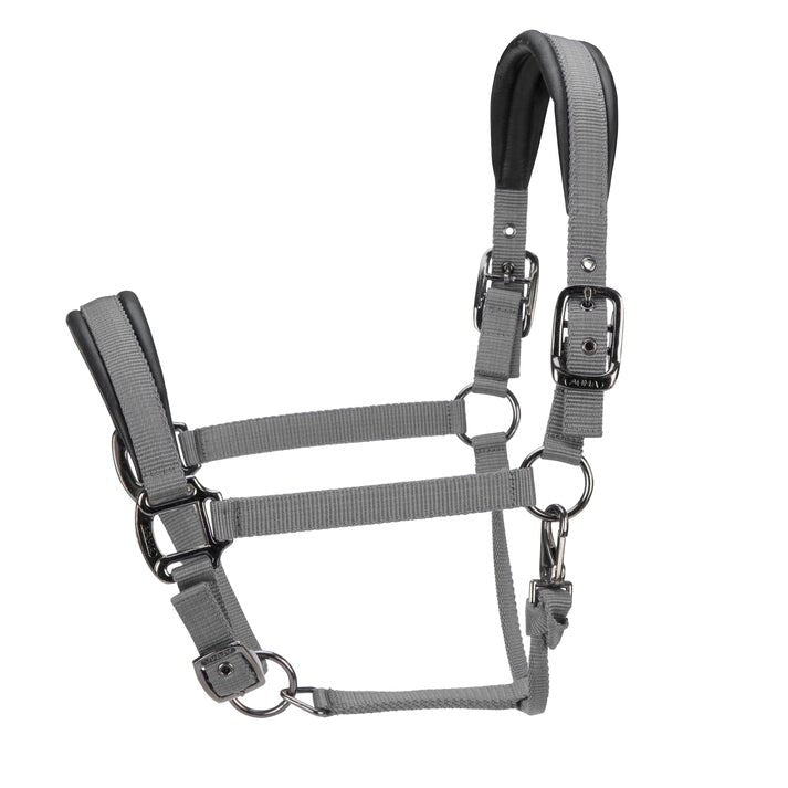 ARMA Pro Padded Headcollar - Nags Essentials