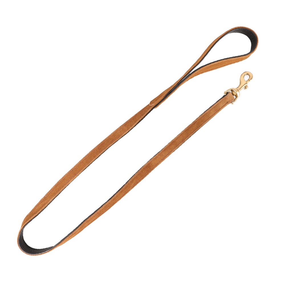 Benji & Flo Noble Suede Dog Lead - Nags Essentials