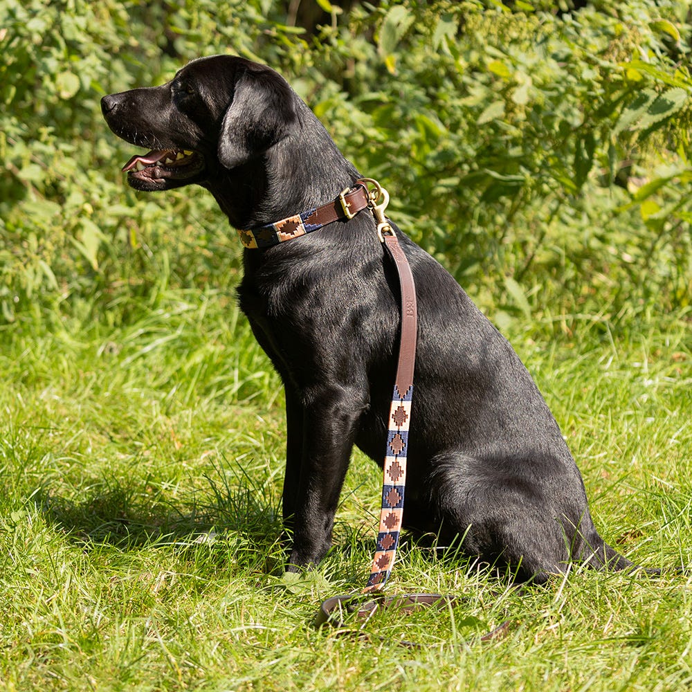 Benji & Flo Sublime Polo Leather Dog Lead - Nags Essentials