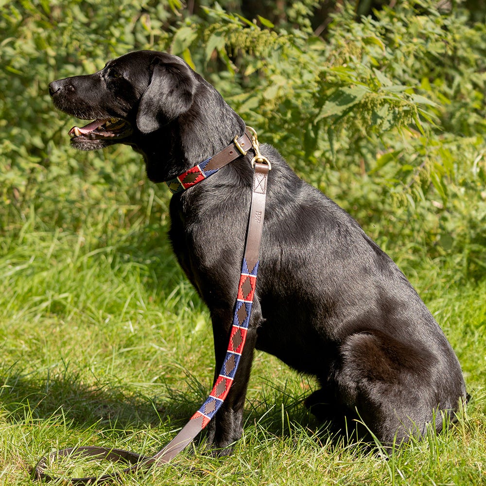 Benji & Flo Sublime Polo Leather Dog Lead - Nags Essentials