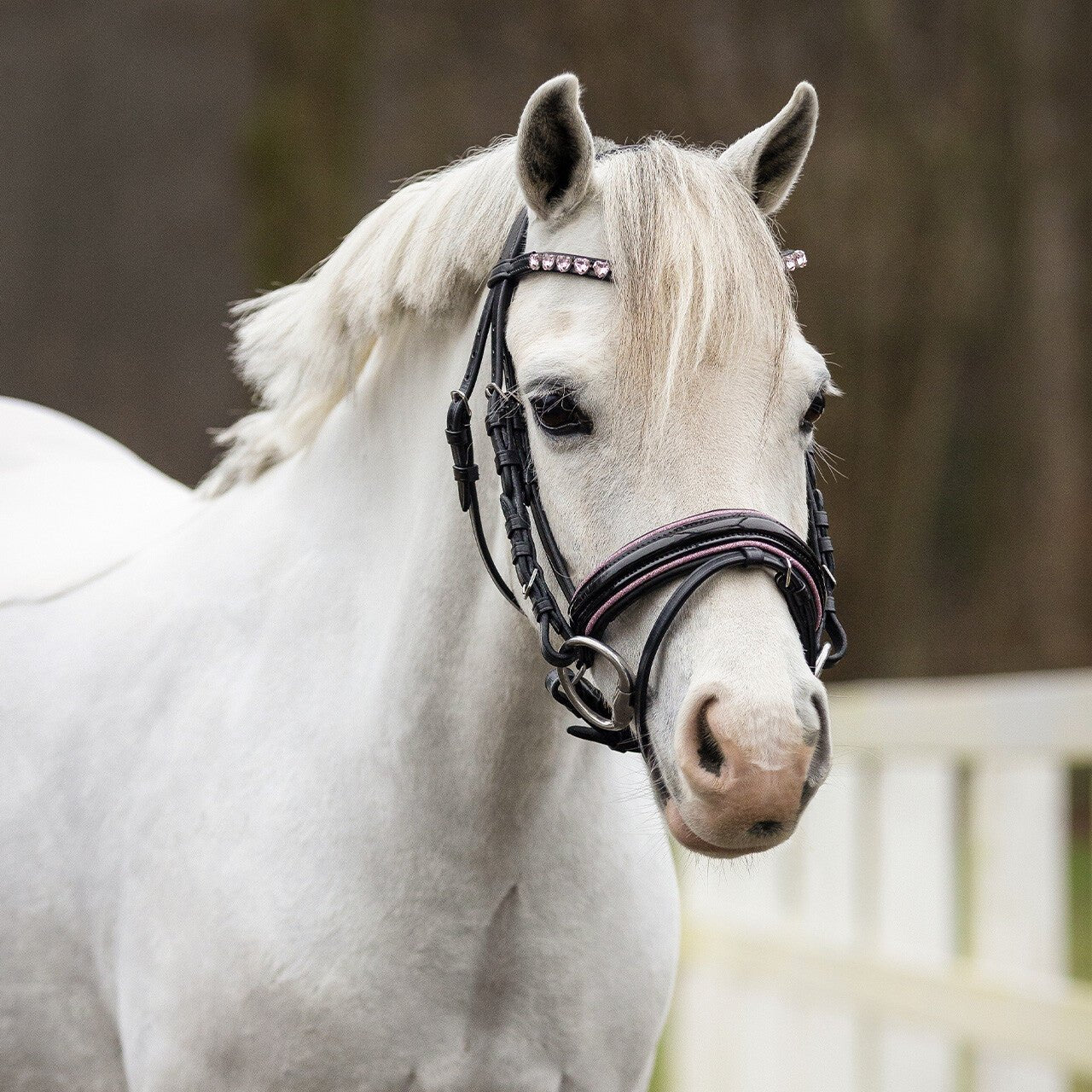 Bixie Mini Pony Bridle - Nags Essentials