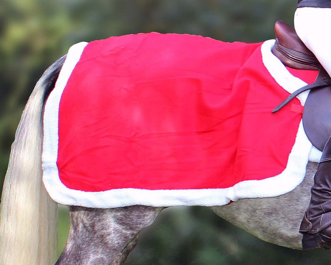 Christmas Exercise Sheet - Nags Essentials