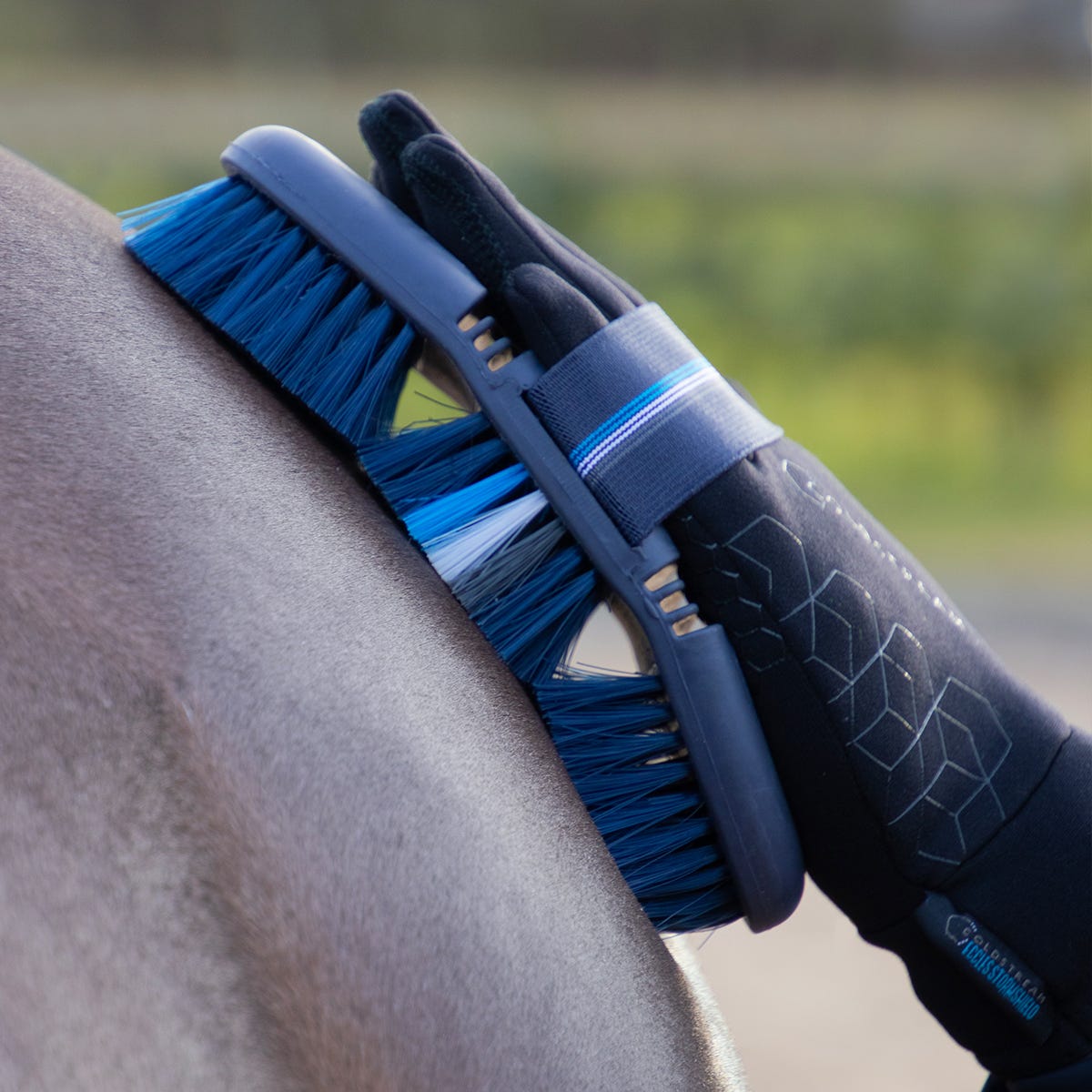 Coldstream Birkhill Bend Body Brush - Nags Essentials