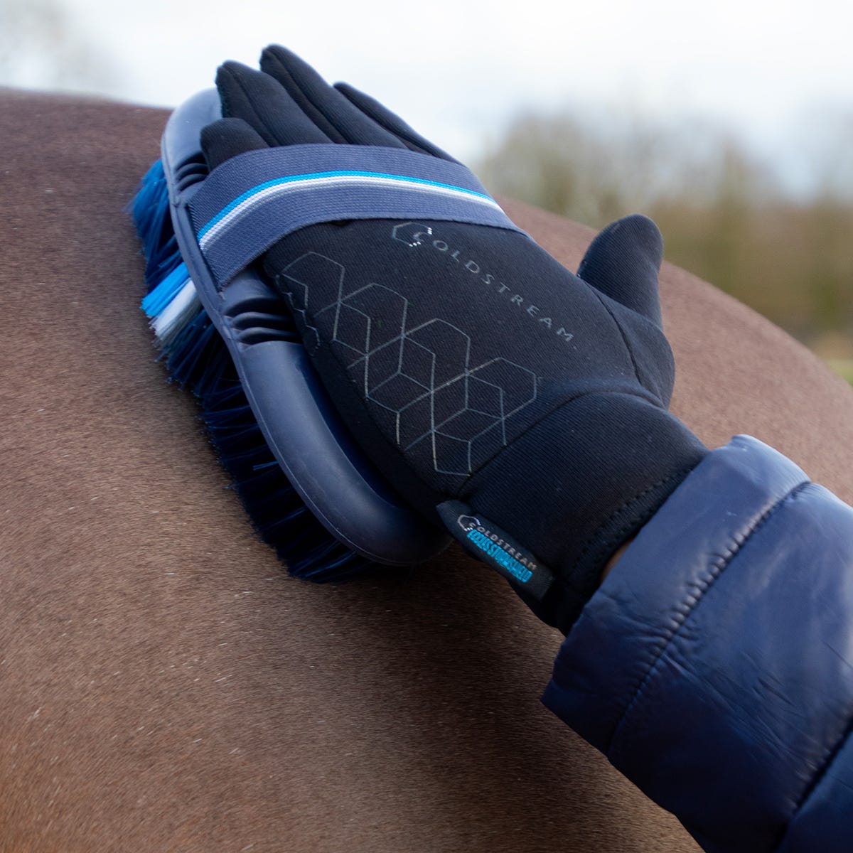 Coldstream Birkhill Bend Body Brush - Nags Essentials