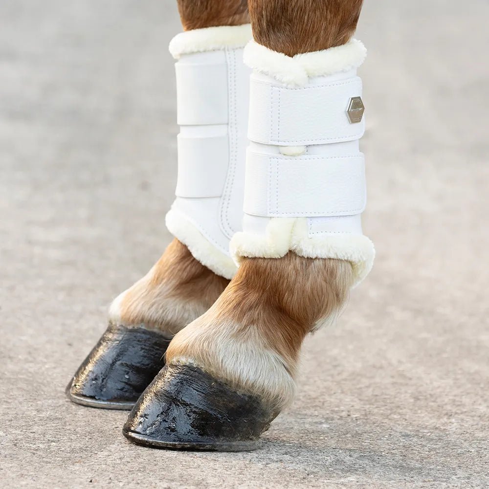 Coldstream Bowden Brushing Boots (Pack of 2) - Nags Essentials
