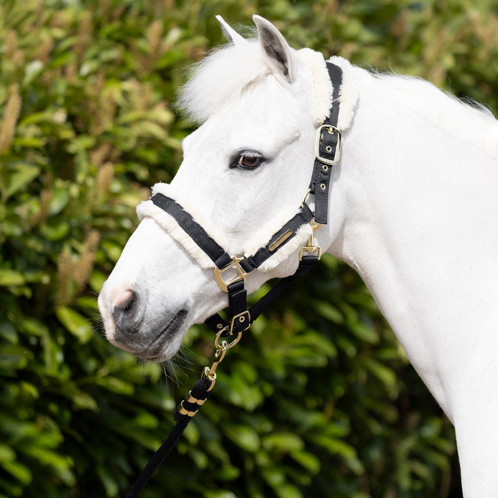 Coldstream Langlee Luxury Head Collar & Lead Rope - Nags Essentials
