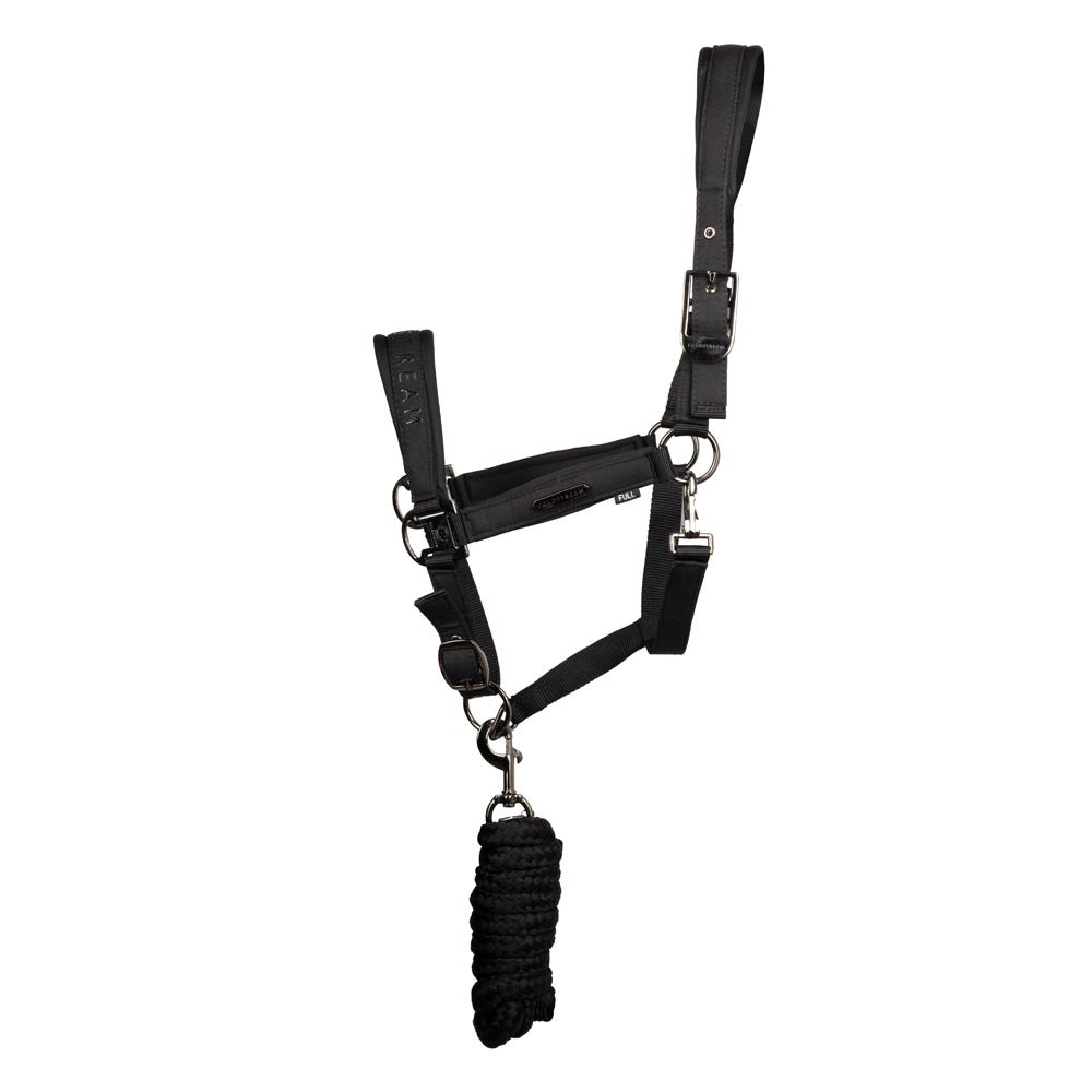 Coldstream Paxton Padded Head Collar & Lead Rope - Nags Essentials
