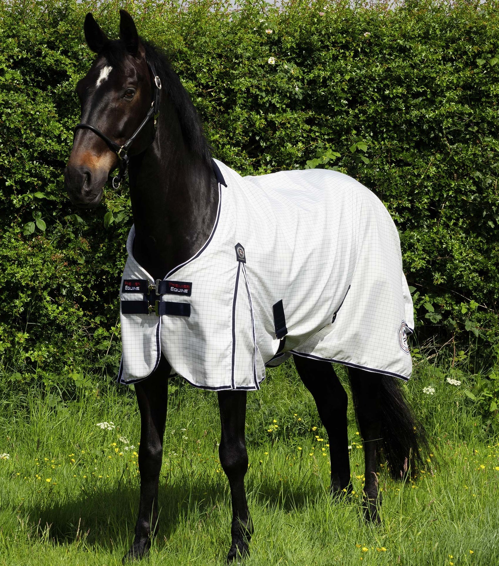 Premier Equine Cotone Original Stable Sheet - White-Navy Check