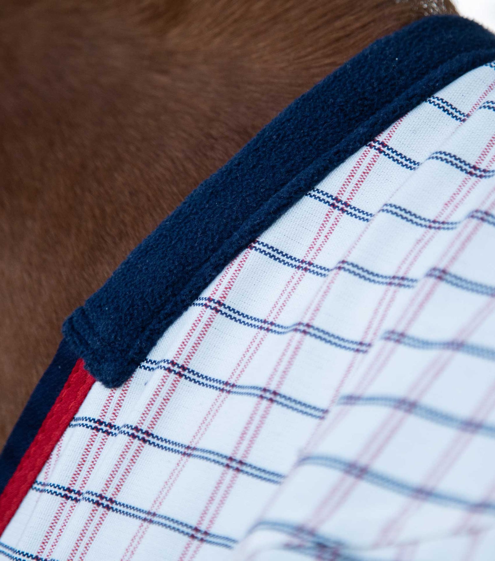 Premiere equine Cotton Sheet Red Check