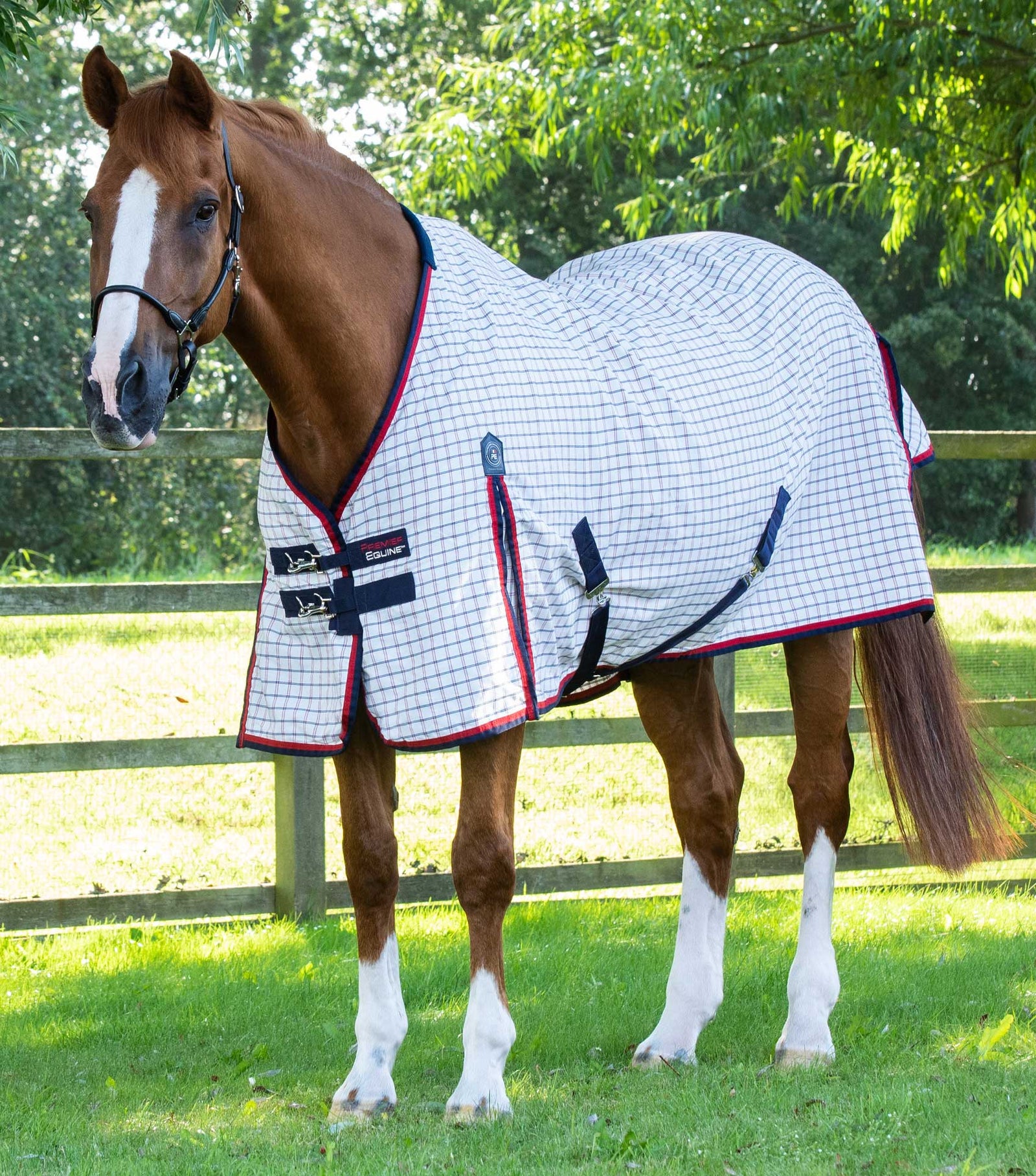 Premiere equine Cotton Sheet Red Check