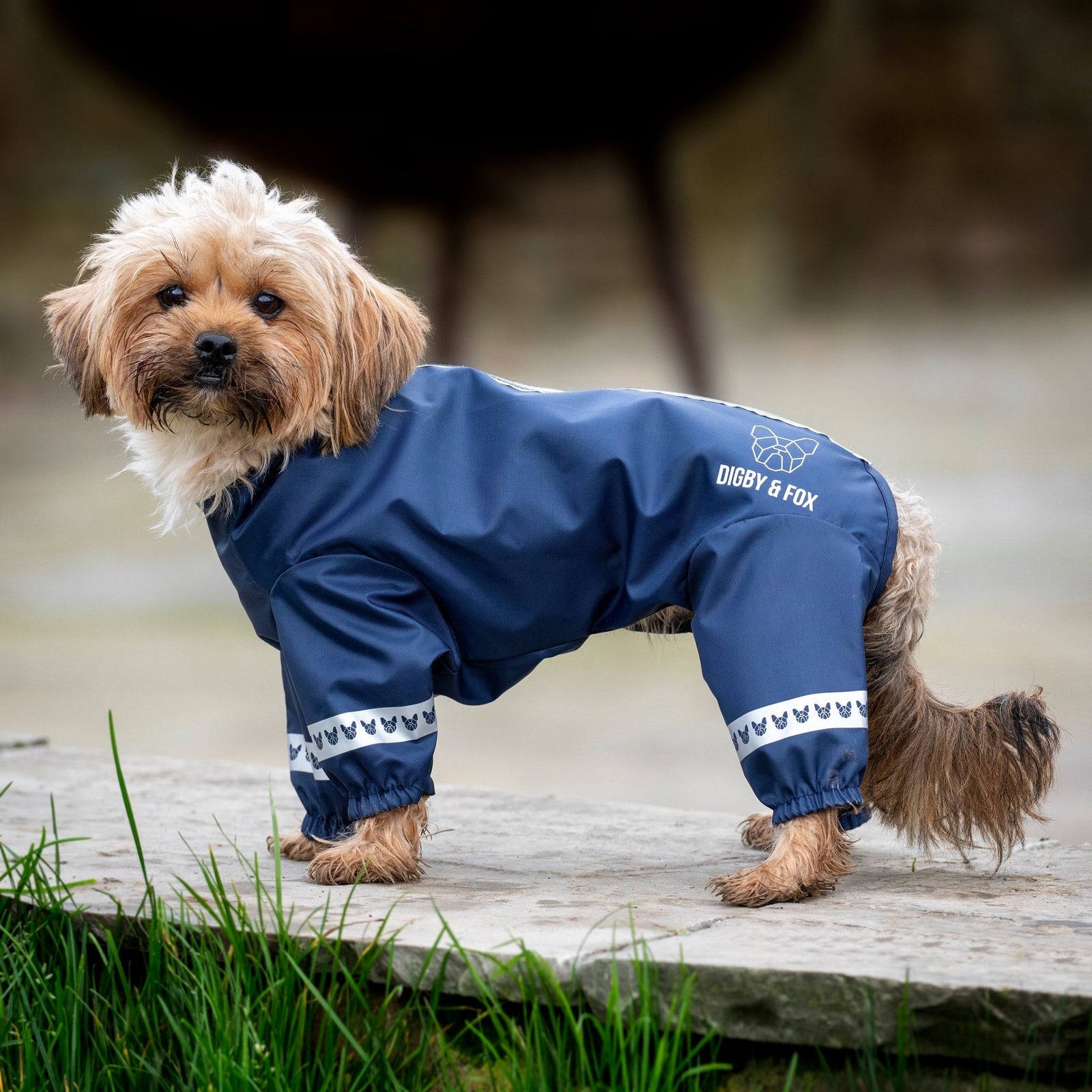 Digby & Fox Cover-All Dog Coat - Nags Essentials