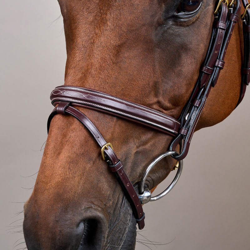 Dy’on Flash Noseband Bridle - Nags Essentials