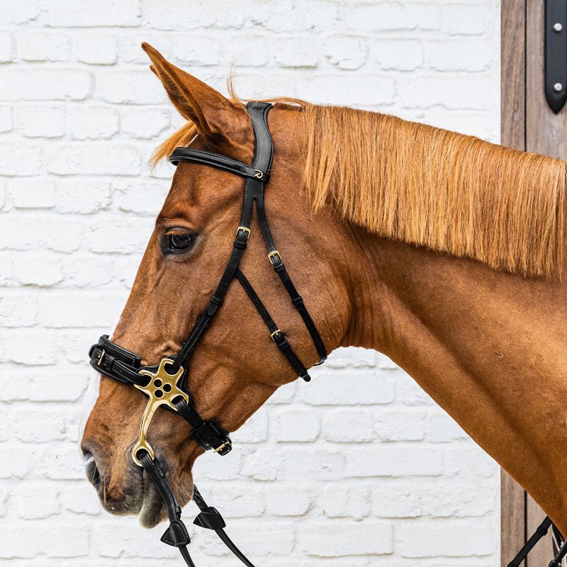 Dy’on Hackamore Noseband - Nags Essentials