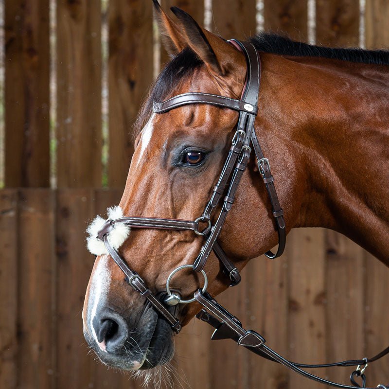 Dyon Working Collection Grackle Noseband Bridle - Nags Essentials