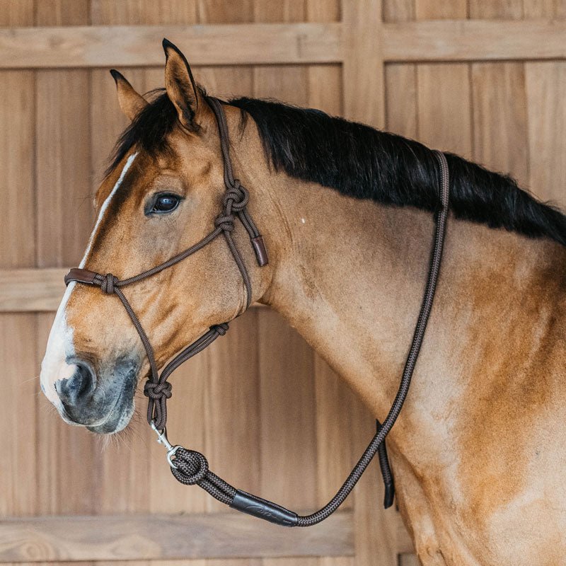 DY'ON Working Lead Rope with Removable Snap - Nags Essentials