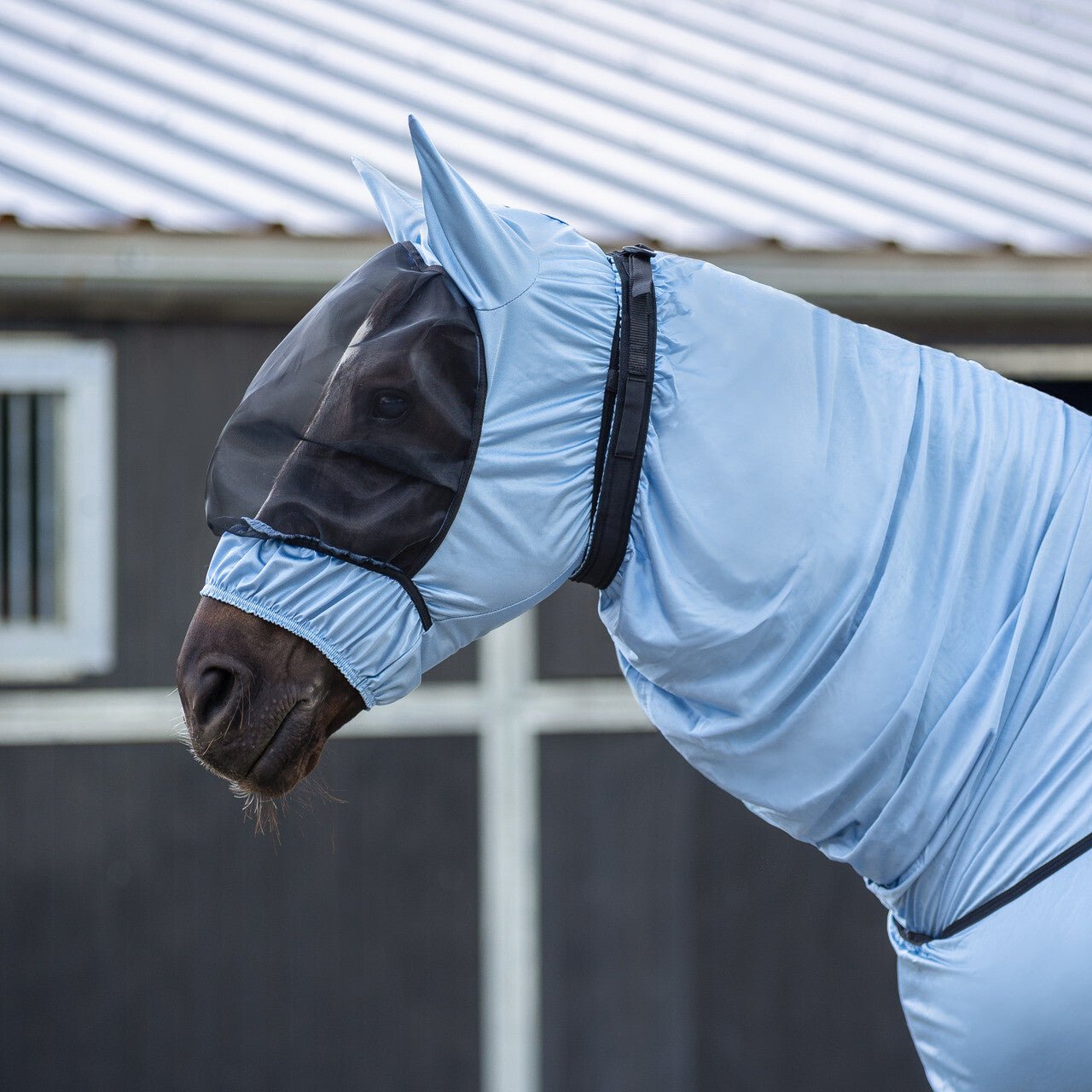Eczema Mask with Ear Protection - Nags Essentials