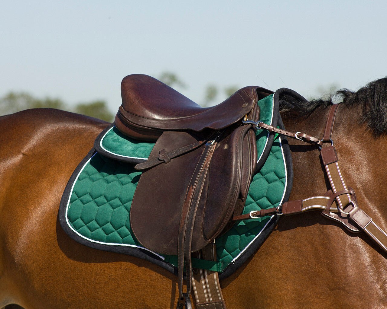 Eldorado Saddlepad - Nags Essentials