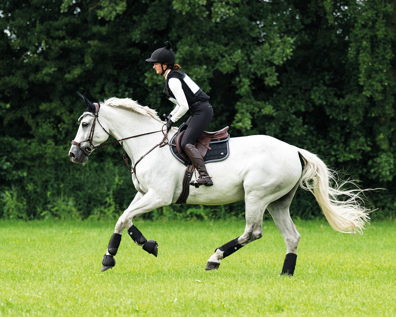 Eldorado Saddlepad - Nags Essentials