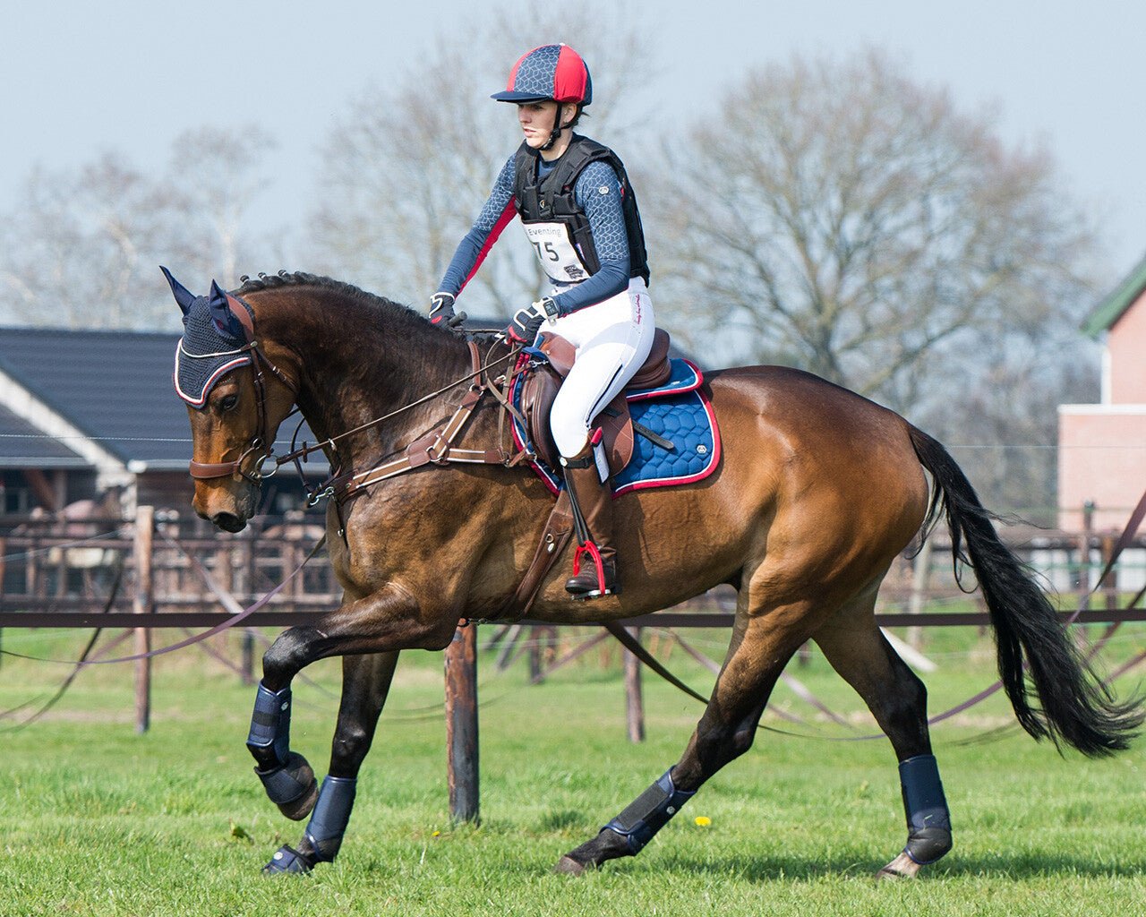 Eldorado Saddlepad - Nags Essentials