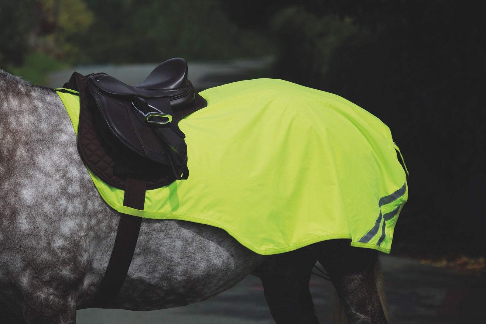 EQUI - FLECTOR Reflective Mesh Exercise Sheet - Nags Essentials