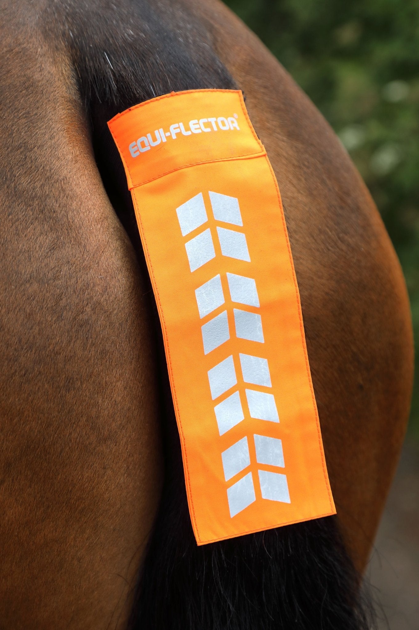 Equi - Flector Tail Strap - Nags Essentials