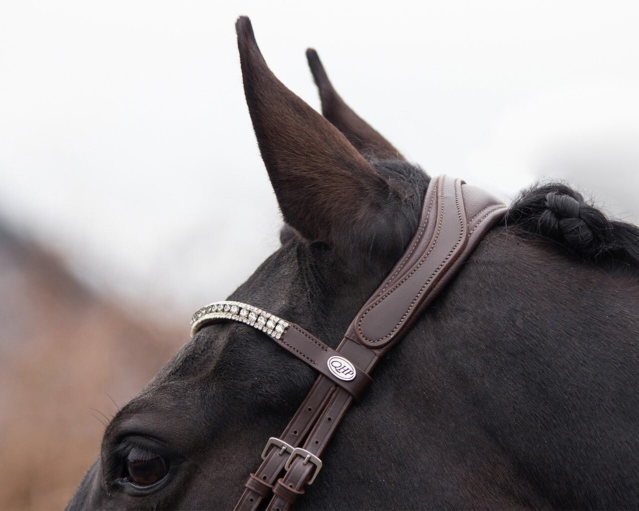 Eris Bridle - Nags Essentials