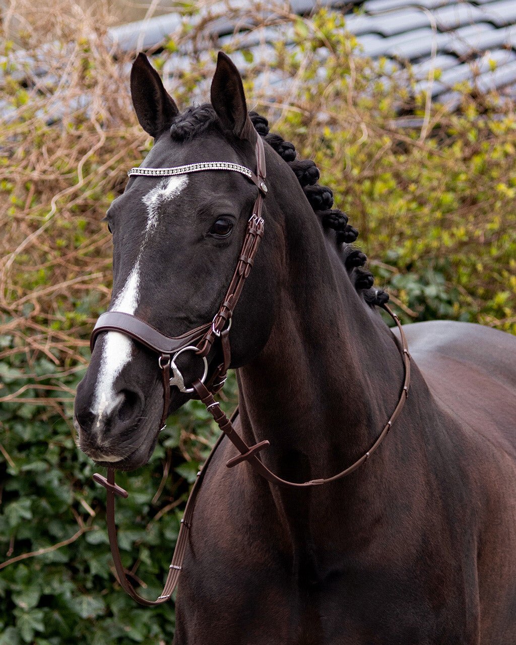 Eris Bridle - Nags Essentials