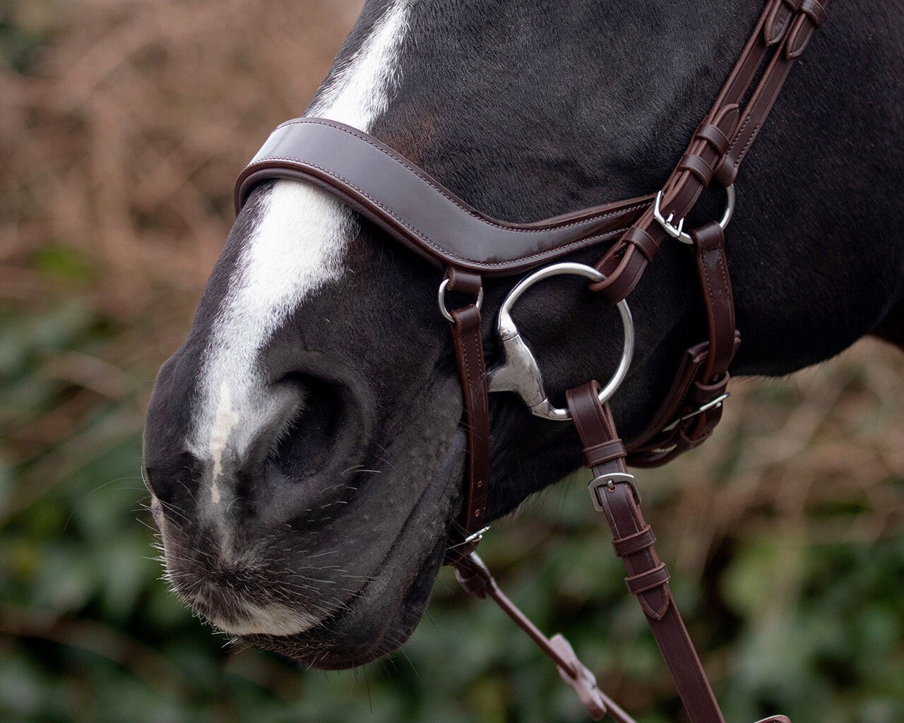 Eris Bridle - Nags Essentials