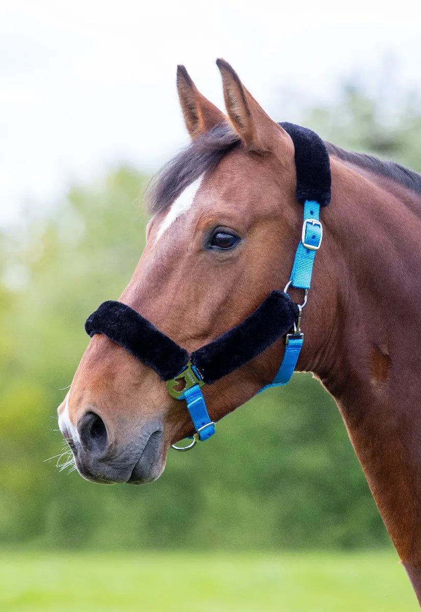 Fleece Lined Headcollar - Nags Essentials