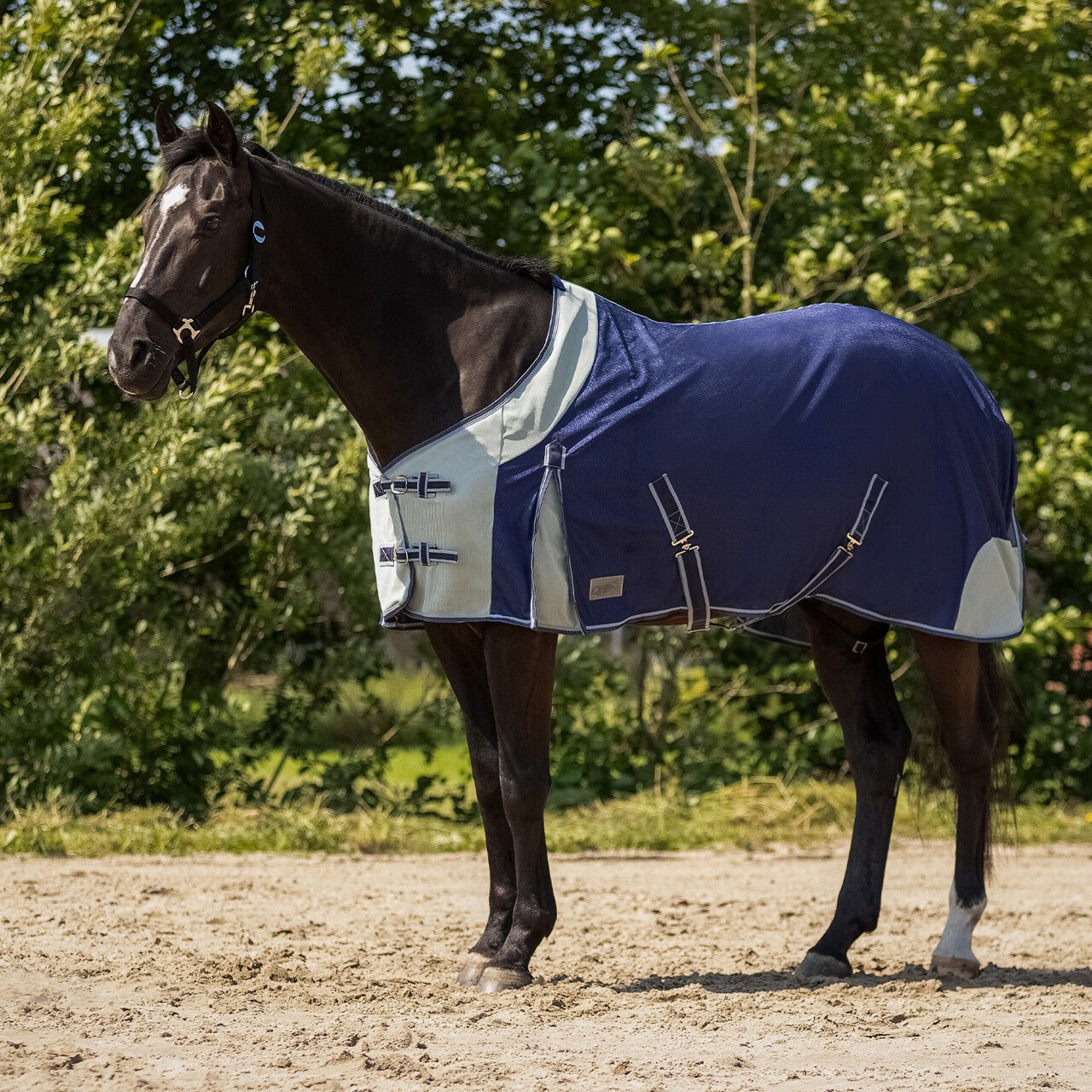 Fly rug - Nags Essentials