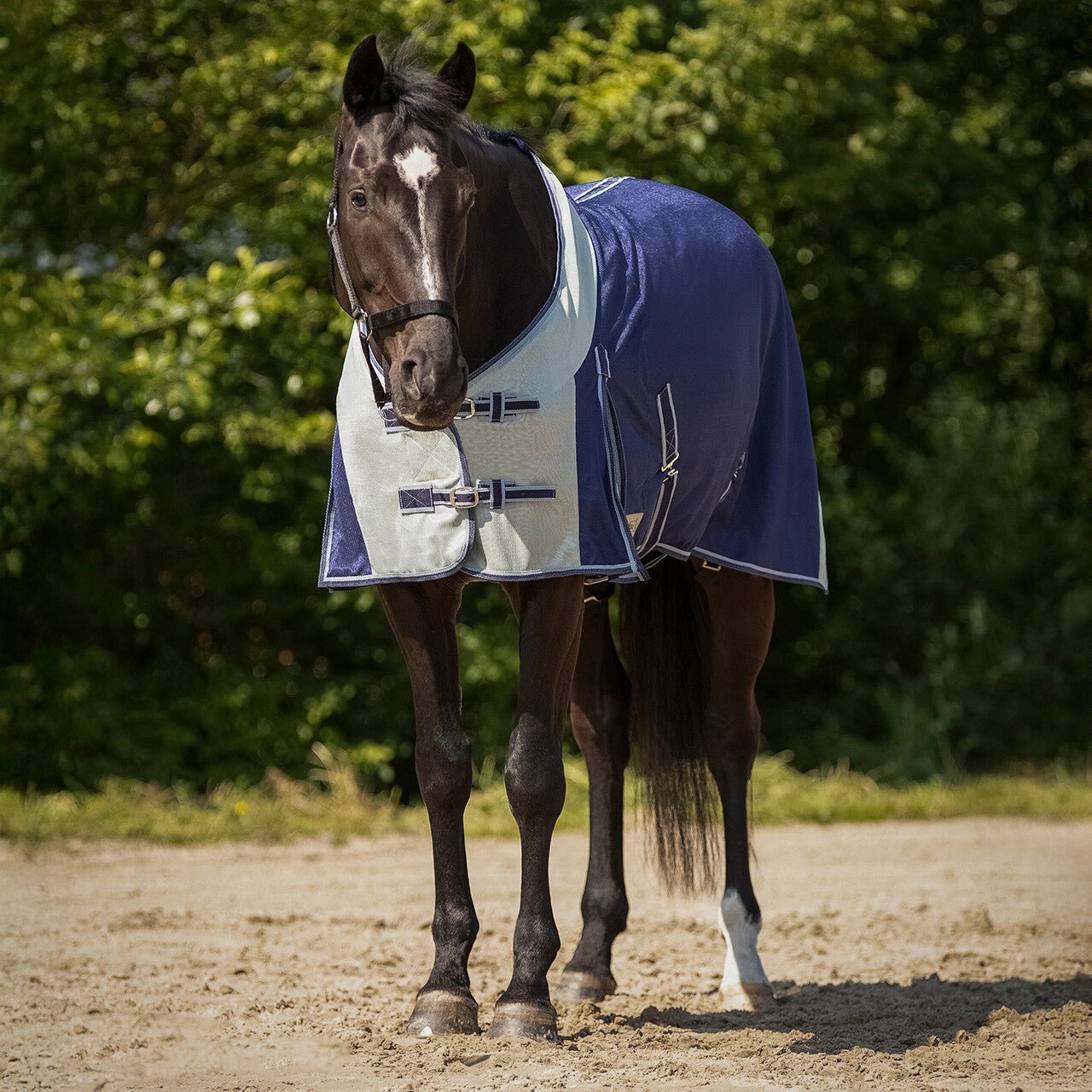 Fly rug - Nags Essentials
