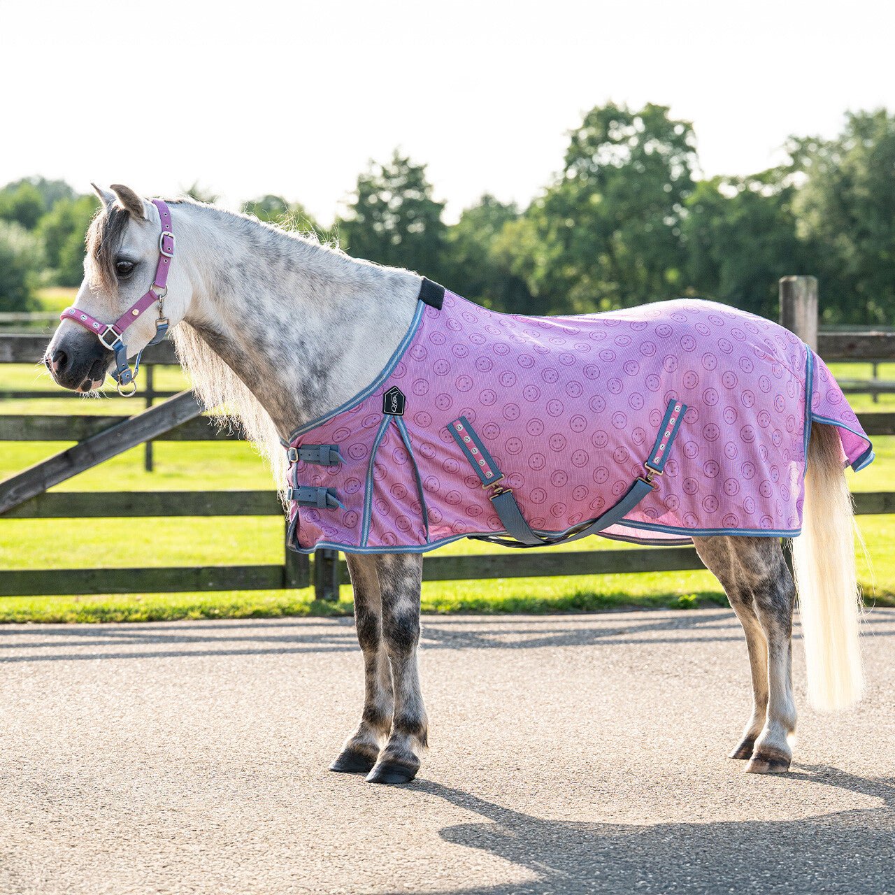 Fly Sheet - Rosalynn - Nags Essentials