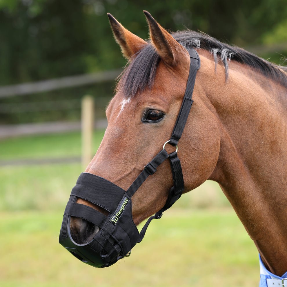 Freegraze Airflow Grazing Muzzle - Nags Essentials