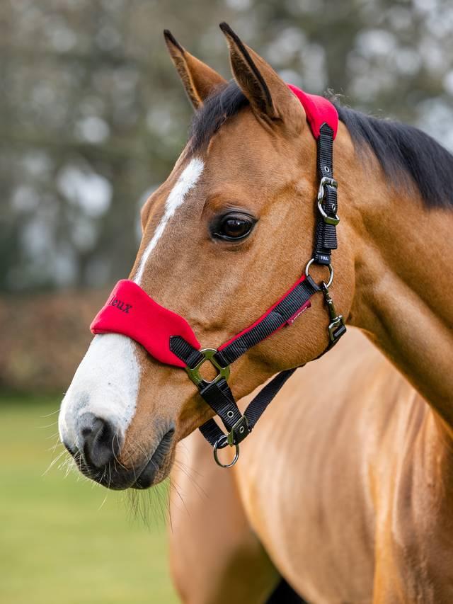LeMieux Vogue Headcollar & Leadrope
