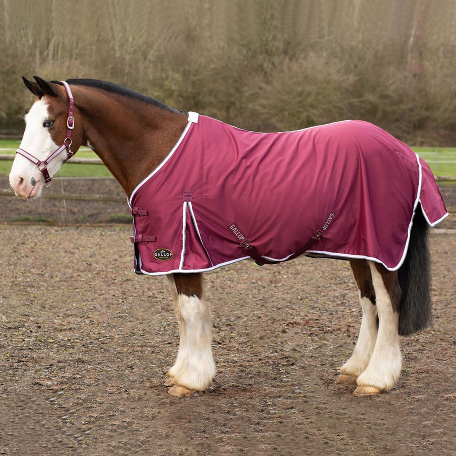 Gallop Summer Sheet - Nags Essentials