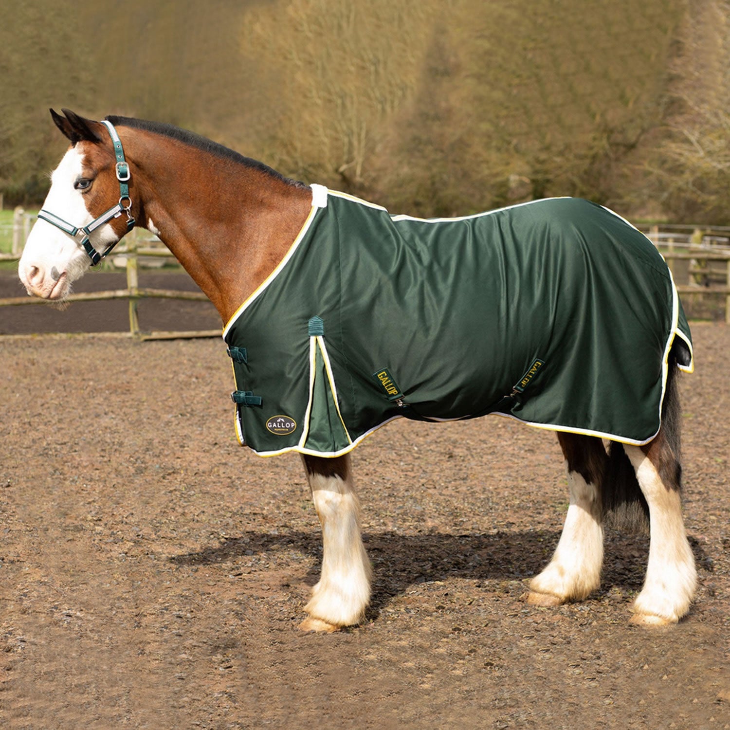 Gallop Summer Sheet - Nags Essentials