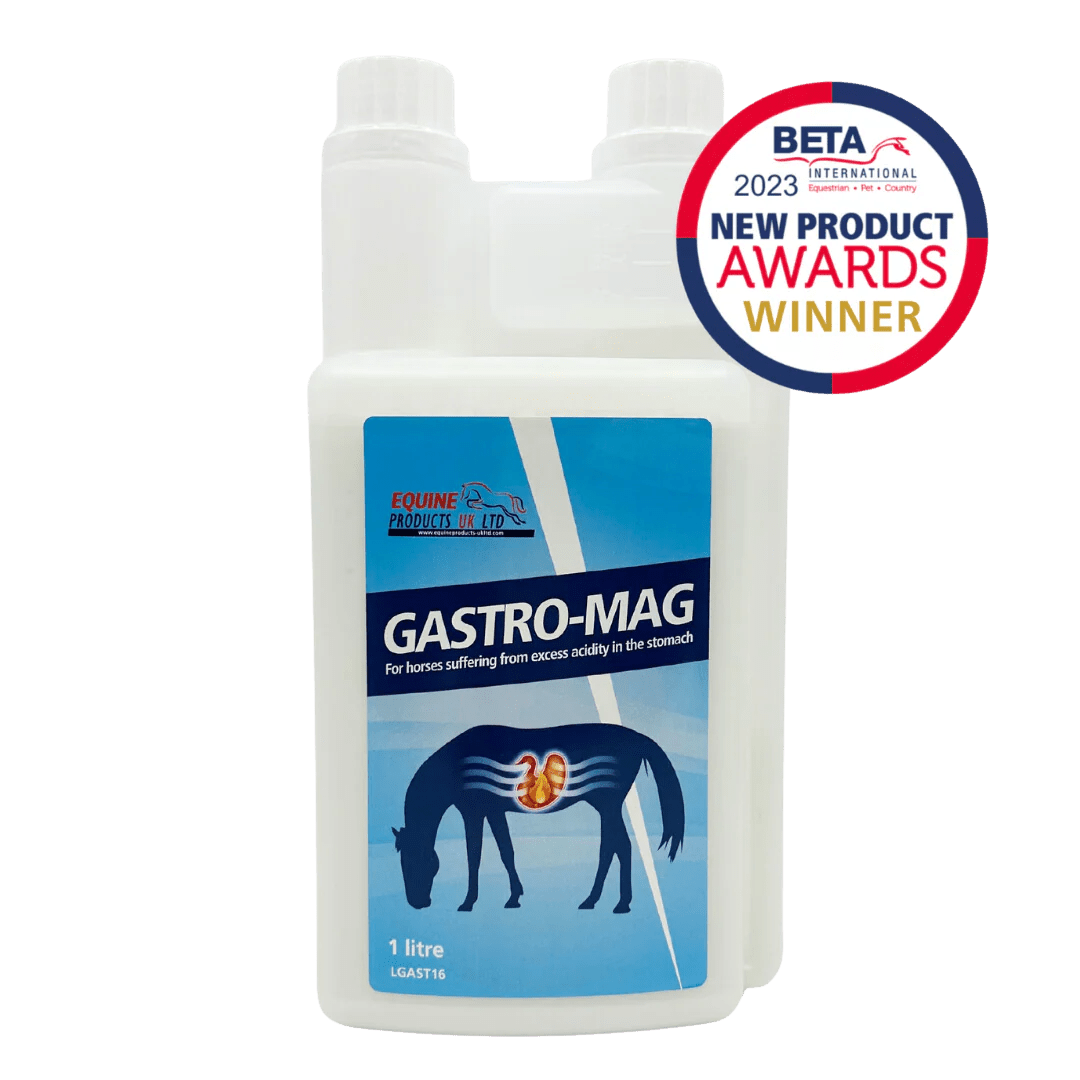Gastro Mag - Nags Essentials