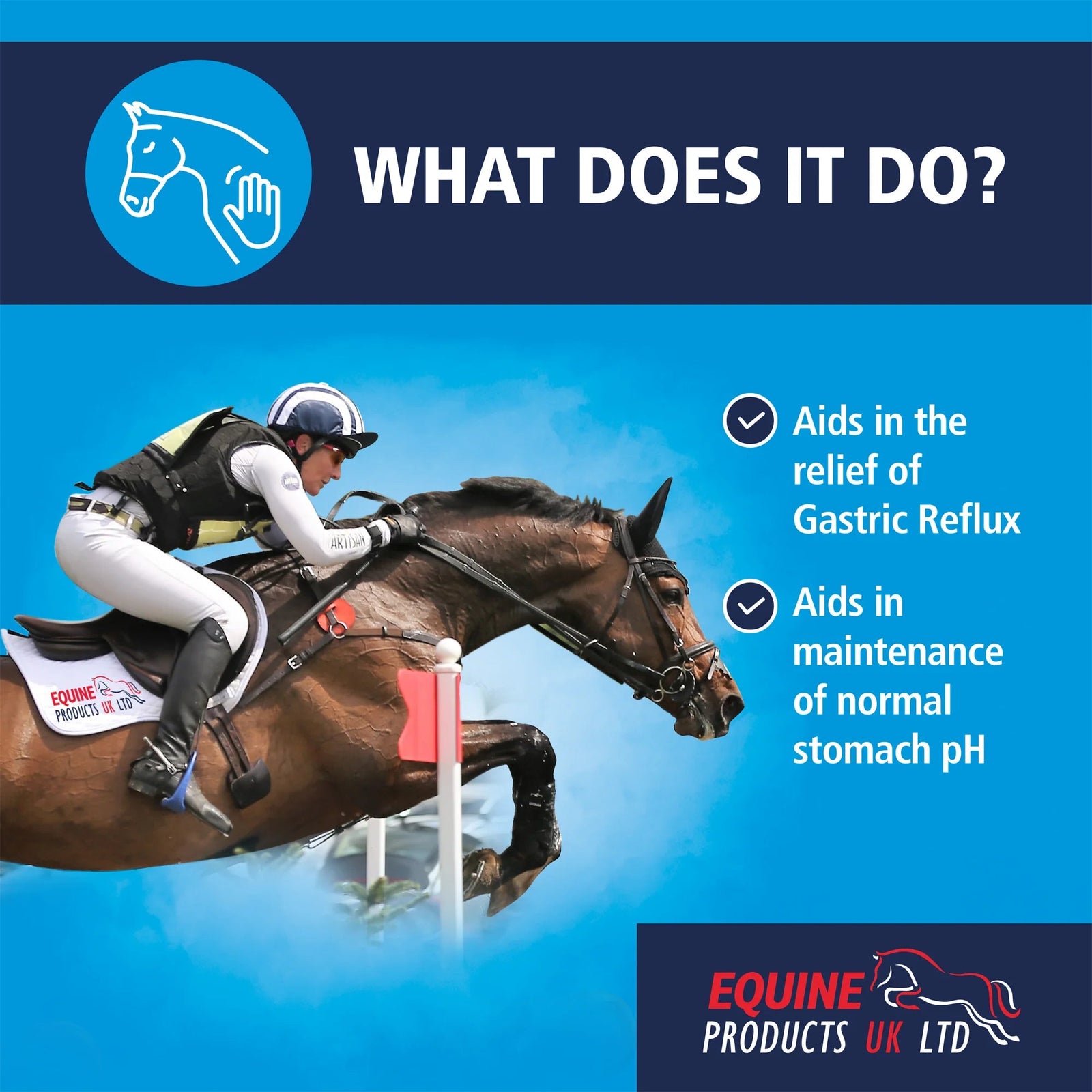 Gastro Mag - Nags Essentials