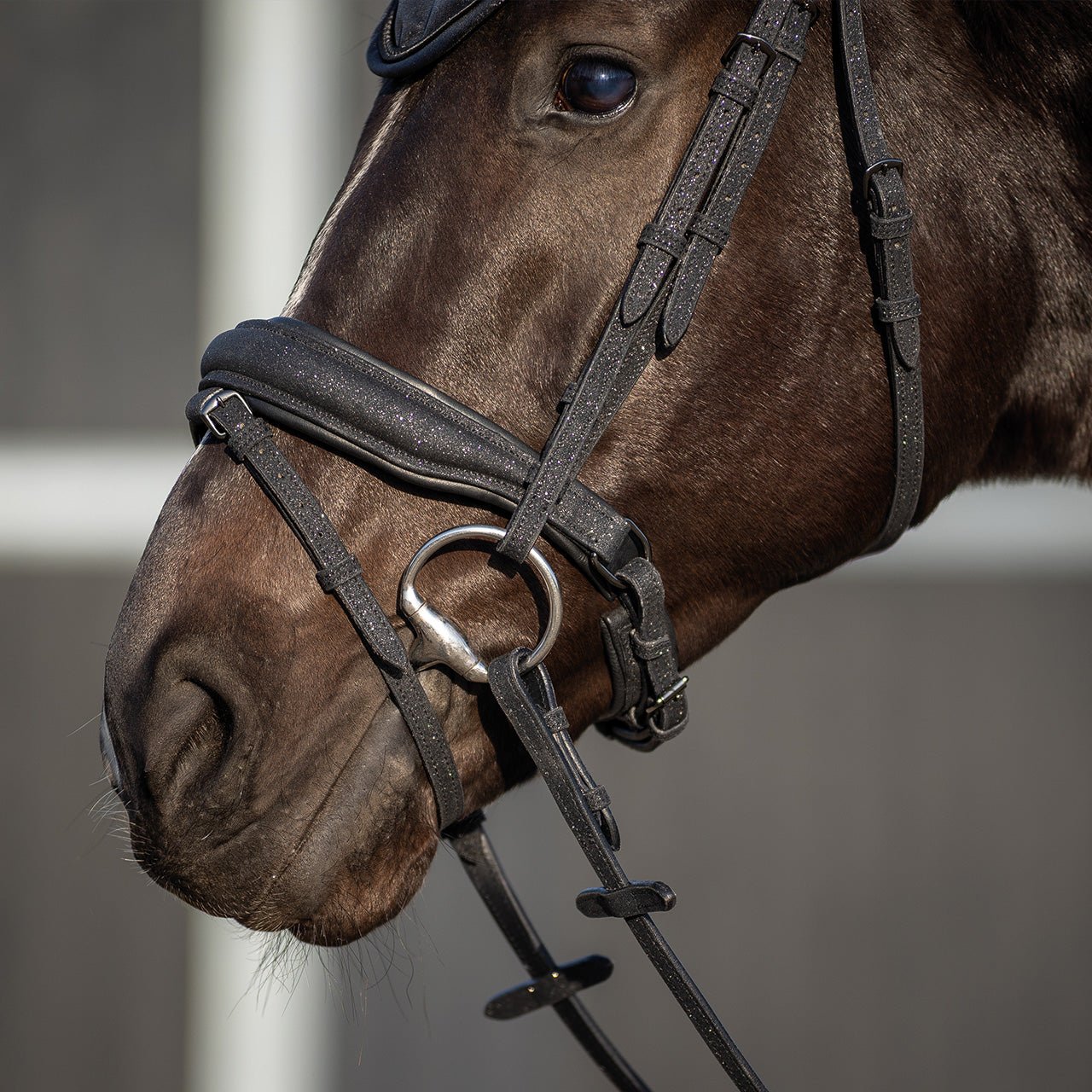 Glitter Bridle - Nags Essentials