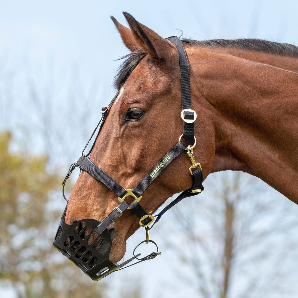 Greenguard Grazing Muzzle - Nags Essentials