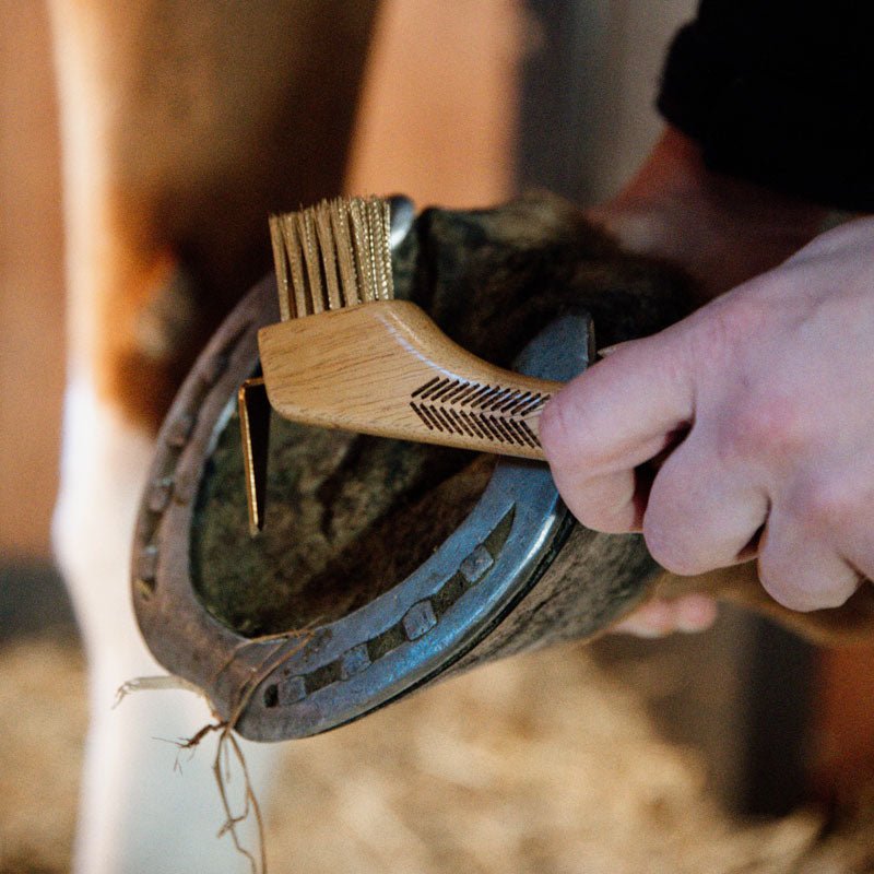 Grooming Deluxe Hoof Pick with Metal Bristle - Nags Essentials